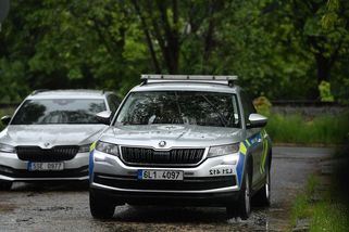 Štvalo ho vystavení lebky jako „reklamního poutače“, řekl advokát o činu obviněného z krádeže relikvie - Novinky
